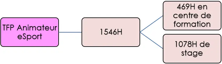 Rythme de la formation TFP eSport : 1548 h composé de 469 h en centre de formation et 1078 h en stage en entreprise