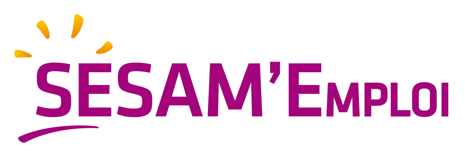 Logo_SESAM EMPLOI